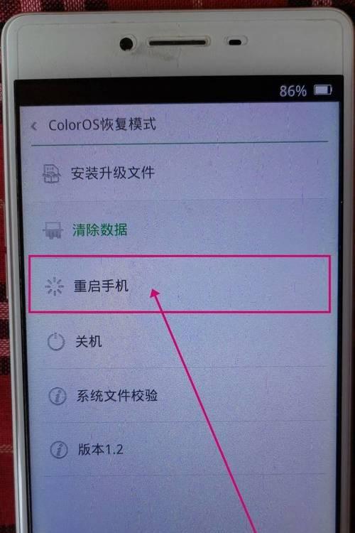 如何解决OPPO手机软件图标不显示的问题（教你快速恢复OPPO手机软件图标显示，轻松解决问题）