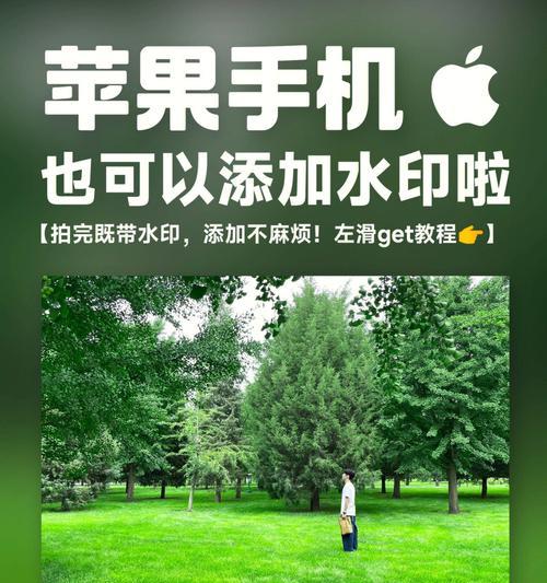 iPhone相机功能无法使用的解决方法（如何解决iPhone相机功能失效的问题）