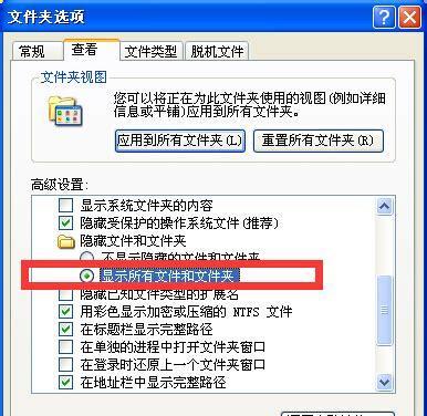 浏览器下载文件位置详解（探索浏览器下载功能的存储之道）