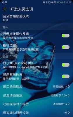 华为手机开发者模式设置教程（解锁华为手机开发者模式，充分发挥其潜力）