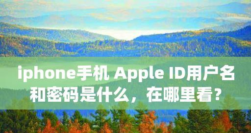 探讨共用一个AppleID的两个苹果手机的影响（共享ID的风险与限制）