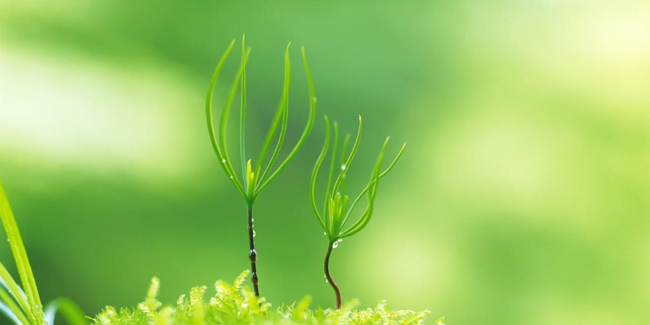 电脑桌面缺少我的电脑，如何解决？（找回我的电脑图标，轻松恢复正常使用）