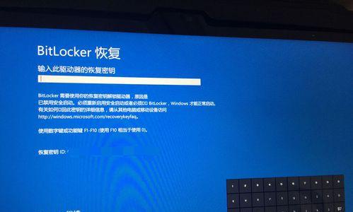 Win10系统中除了QQ都不能上网，怎么办？（Win10系统中其他应用程序无法上网的解决方法及注意事项）