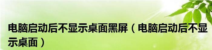 电脑黑屏不显示桌面的解决方法（如何应对电脑开机后出现黑屏的问题）