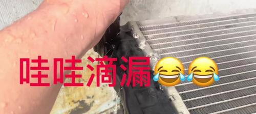 解决德龙咖啡机水箱漏水问题的实用方法（咖啡机维修小技巧）