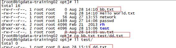 linuxls命令详解文件大小（详解Linux中使用ls命令查看文件大小的步骤与技巧）