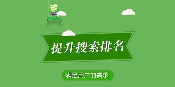 免费网站排名优化软件有哪些（网站快速排名的技巧）