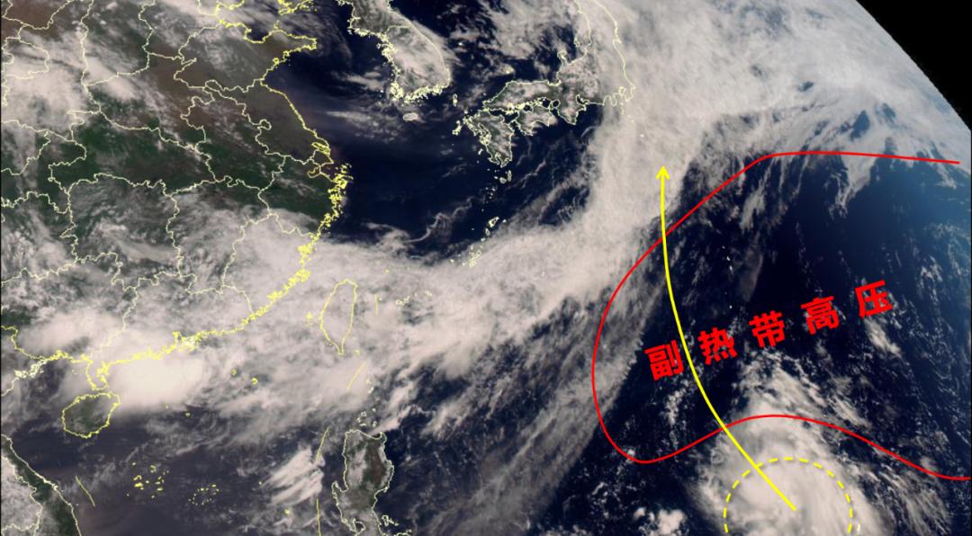 探究台风的形成过程（从孕育到登陆）