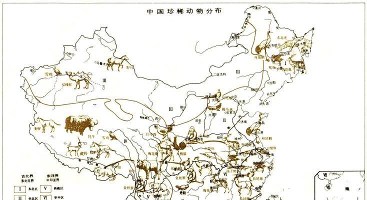 我国五大珍稀动物的保护与研究（探索中国珍稀动物的奥秘）