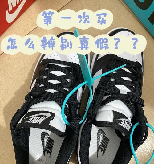 识别真假Nike鞋的方法（掌握正确鉴定Nike鞋真假的技巧）