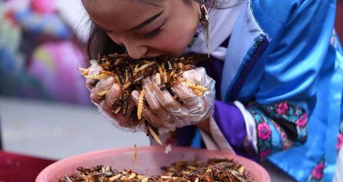 古人不吃蝗虫的原因（揭示古人对蝗虫饮食的抗拒心理与保护生态的智慧）