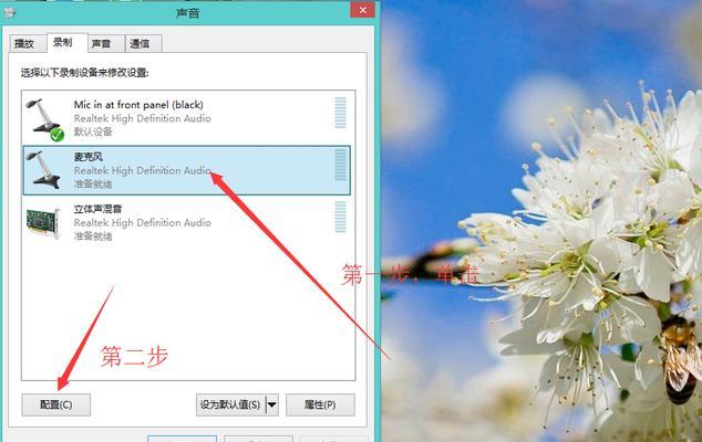 电脑麦克风没有声音的解决方法（如何设置电脑麦克风以解决没有声音的问题）