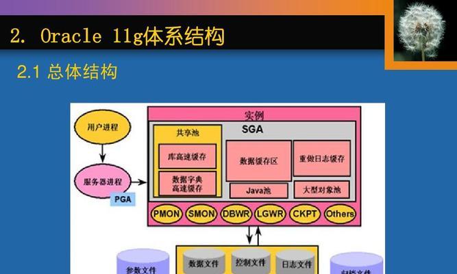 深入理解数据库基础知识（探索数据库的核心概念与应用场景）