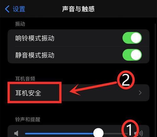 苹果手机接听没有声音的原因及解决方法（解决您苹果手机接听无声问题的有效措施）