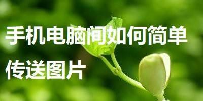 如何进行高效的项目管理（学习有效的项目管理方法）