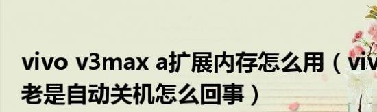 vivo内存扩展功能的使用方法（轻松扩展手机内存容量）