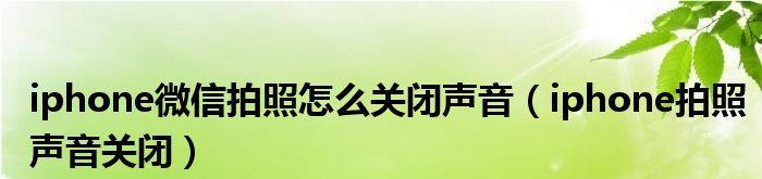 如何取消iPhone拍照声音（简单步骤教你解决iPhone拍照声音问题）