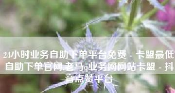 卡盟低价自助下单真的靠谱吗？如何判断其真实性？