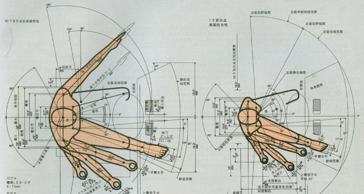 人体工程学设计是什么？如何选择合适的人体工程学产品？