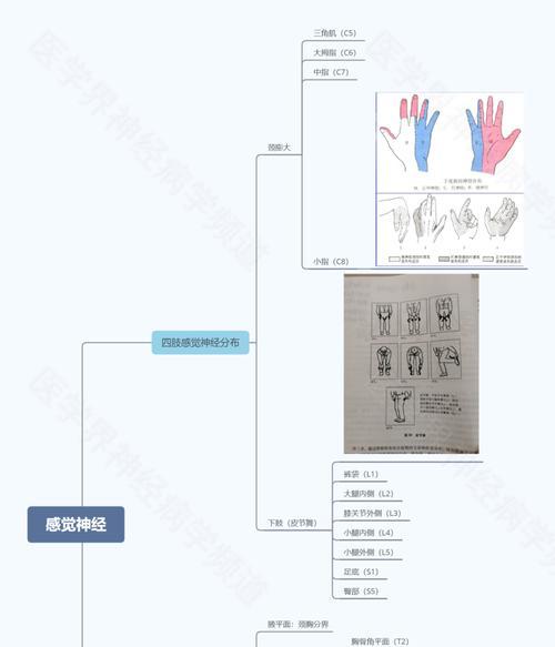 如何轻松掌握电脑办公神技能？掌握这些技巧能提高工作效率吗？