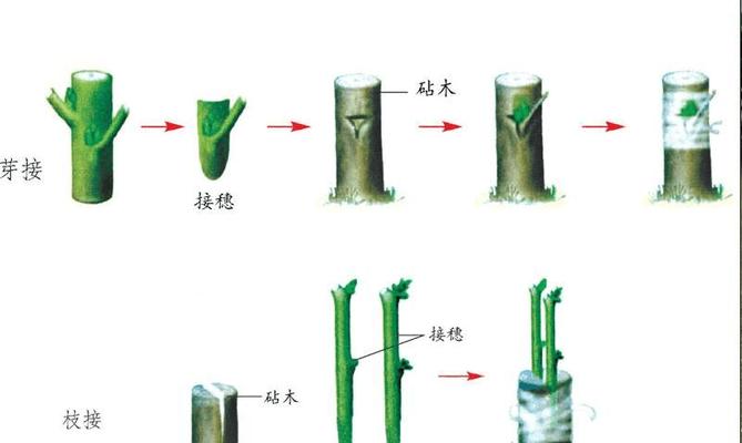 电脑无声音“哗啦啦”现象的原因是什么？